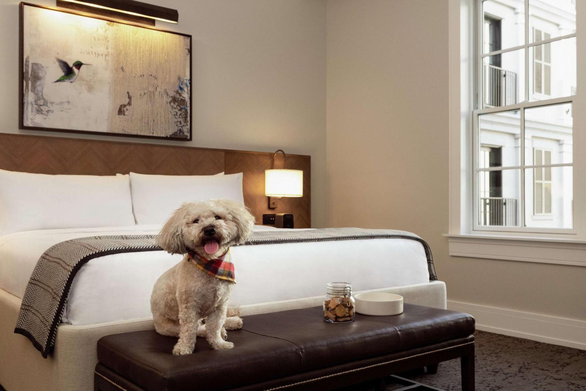 The Harpeth Franklin Downtown, Curio Collection By Hilton Hotel Ngoại thất bức ảnh